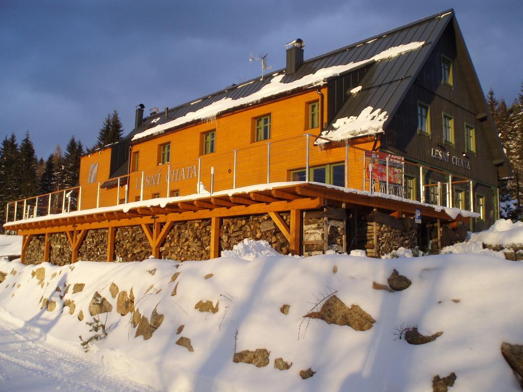 Lesni Chata Bedřichov Exteriör bild